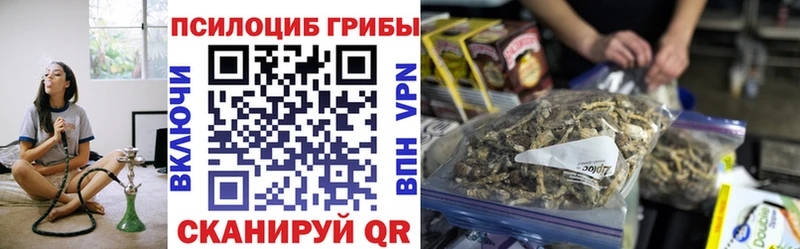 продажа наркотиков  Горнозаводск  Галлюциногенные грибы Psilocybe 
